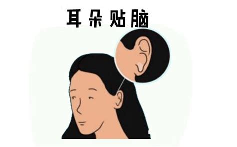 耳朵貼腦女人|有這些耳相的人頭腦聰明，福澤深厚 